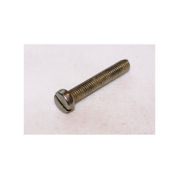 Bolte m/cylinderhoved 5 x 25 mm DIN 84 syrefast - 10 stk.