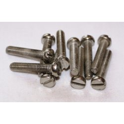 Bolte m/cylinderhoved 6 x 30 mm DIN 84 syrefast - 10 stk.