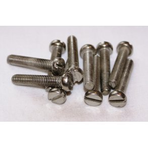 Bolte m/cylinderhoved 6 x 30 mm DIN 84 syrefast - 10 stk.