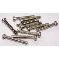 Bolte m/cylinderhoved 6 x 50 mm DIN 84 syrefast - 10 stk.