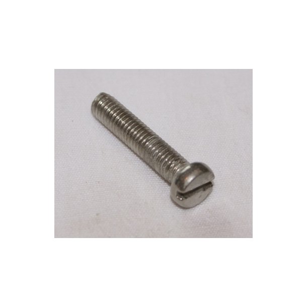 Bolte m/cylinderhoved 6 x 30 mm DIN 84 syrefast - 10 stk.